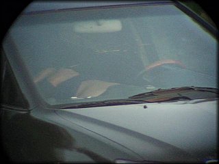 car-petting+2_118.jpg