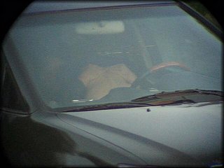 car-petting+2_26.jpg