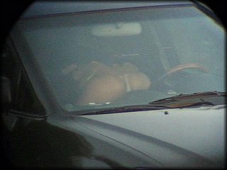 car-petting+2_322.jpg