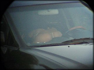 car-petting+2_324.jpg