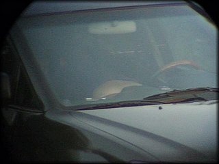car-petting+2_353.jpg