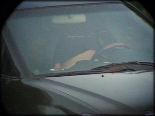 car-petting+2_38.jpg