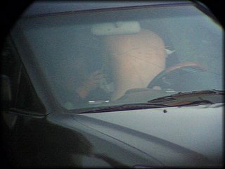 car-petting+2_408.jpg