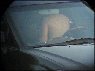 car-petting+2_412.jpg