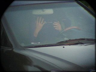 car-petting+2_43.jpg
