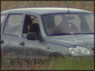 car-sex_288.jpg