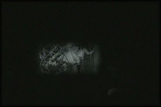 forest-night-fuck+2_132.jpg