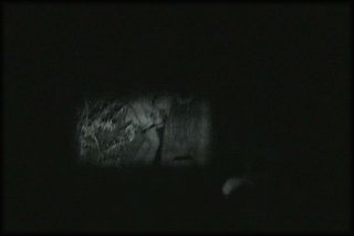 forest-night-fuck+2_133.jpg