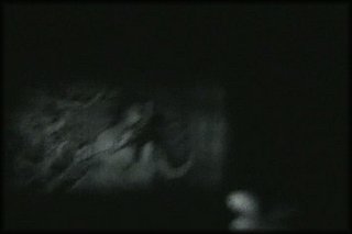 forest-night-fuck+2_135.jpg