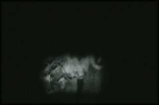 forest-night-fuck+2_148.jpg