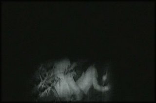 forest-night-fuck+2_151.jpg