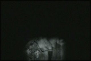 forest-night-fuck+2_169.jpg