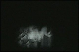 forest-night-fuck+2_170.jpg