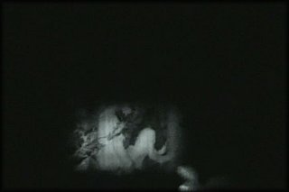 forest-night-fuck+2_171.jpg
