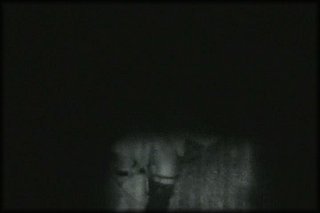 forest-night-fuck+2_202.jpg