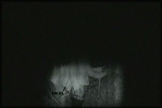 forest-night-fuck+2_203.jpg