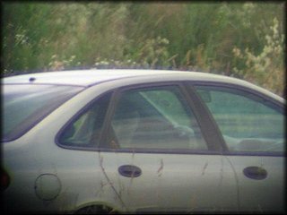 fucking-incar-2_572.jpg