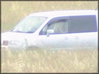 in-car-sex-couple_100.jpg