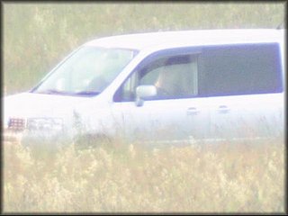 in-car-sex-couple_111.jpg