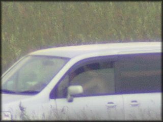 in-car-sex-couple_1162.jpg