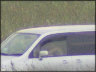 in-car-sex-couple_1221.jpg