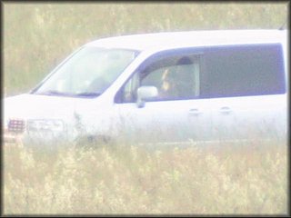 in-car-sex-couple_133.jpg