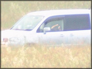 in-car-sex-couple_21.jpg
