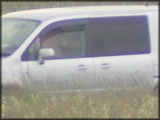 in-car-sex-couple_275.jpg