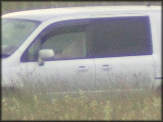 in-car-sex-couple_476.jpg
