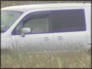 in-car-sex-couple_479.jpg