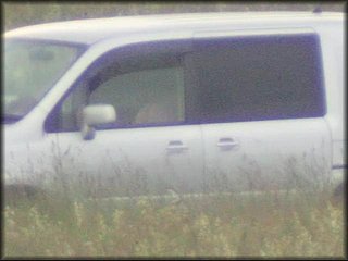 in-car-sex-couple_494.jpg