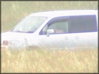 in-car-sex-couple_72.jpg