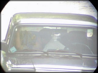 kissing-nosex0_280.jpg