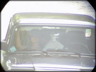 kissing-nosex0_284.jpg
